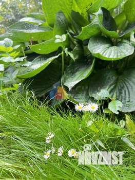 Дом 25м&sup2;, 1-этажный, участок 5 сот.  