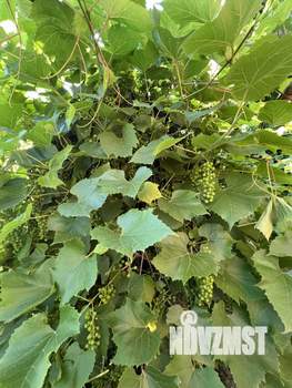 Дом 77м&sup2;, 2-этажный, участок 6 сот.  