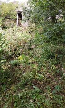 Дача 96м², 1-этажный, участок 10 сот.  