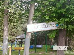 Дом 30м², 1-этажный, участок 1 сот.  