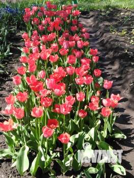 Дом 25м&sup2;, 2-этажный, участок 13 сот.  