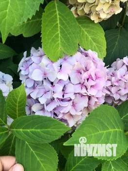 Дом 25м&sup2;, 2-этажный, участок 13 сот.  