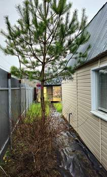 Дом 50м², 2-этажный, участок 6 сот.  