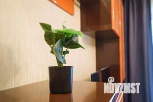 1-к квартира, посуточно, 39м2, 1/1 этаж