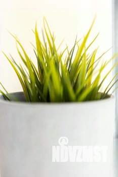 1-к квартира, посуточно, 58м2, 1/1 этаж