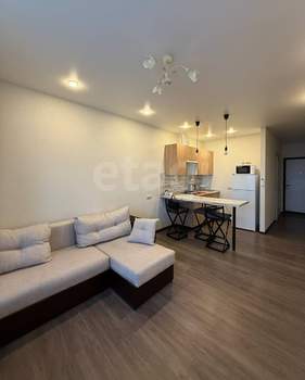 Студия квартира, на длительный срок, 28м2, 7/14 этаж