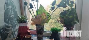 1-к квартира, посуточно, 35м2, 5/5 этаж