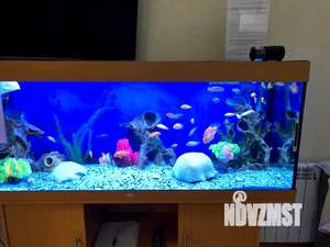 1-к квартира, посуточно, 55м2, 6/10 этаж