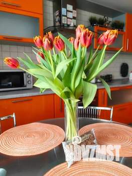 1-к квартира, посуточно, 39м2, 7/13 этаж