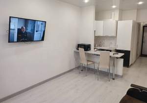 Студия квартира, на длительный срок, 30м2, 13/17 этаж