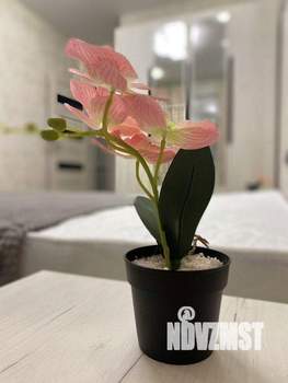 2-к квартира, посуточно, 54м2, 1/1 этаж