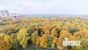 Студия квартира, на длительный срок, 29м2, 15/19 этаж