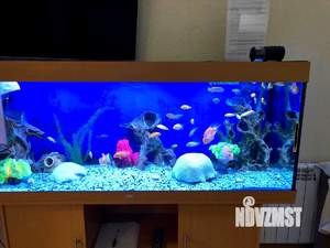 1-к квартира, посуточно, 55м2, 1/1 этаж