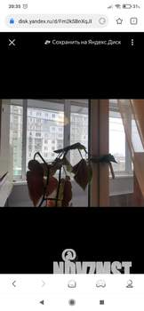 1-к квартира, на длительный срок, 38м2, 4/9 этаж