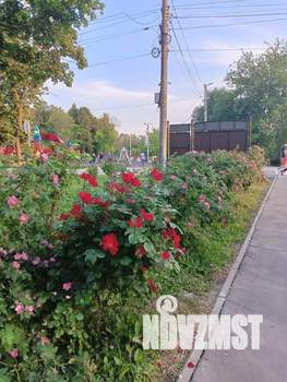1-к квартира, посуточно, 40м2, 1/8 этаж