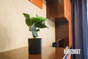 1-к квартира, посуточно, 39м2, 1/9 этаж