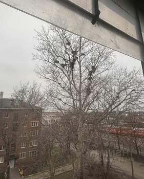 1-к квартира, вторичка, 31м2, 5/5 этаж